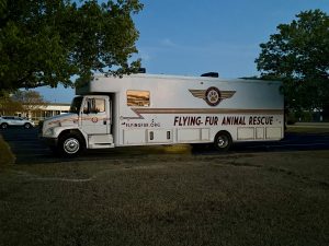 flying fur animal rescue
