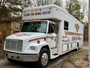 flying fur animal rescue