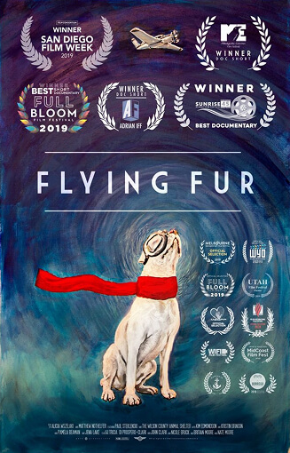 flying fur animal rescue